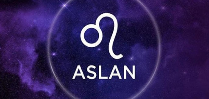 Aslan Burcu